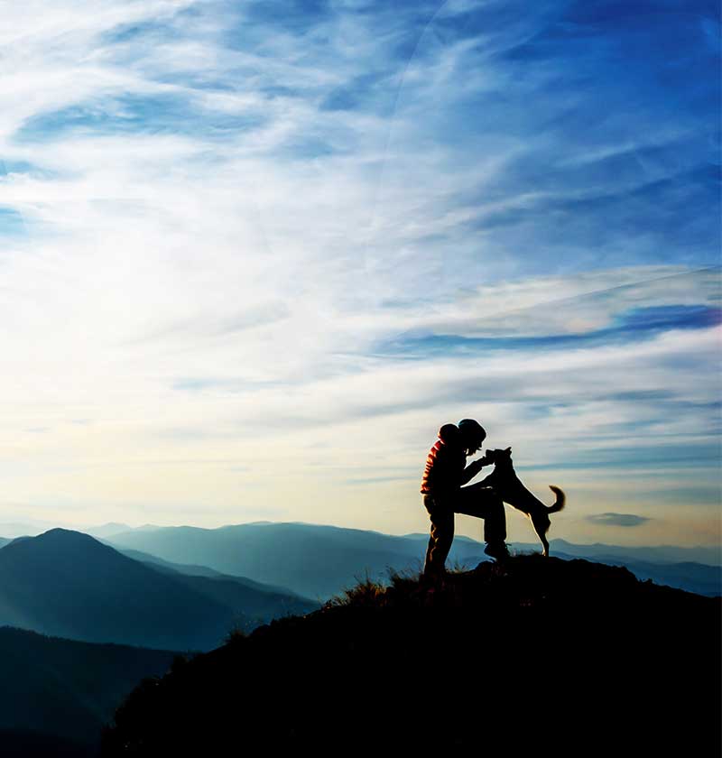 Person and their dog on a hike at the summit of a mountian