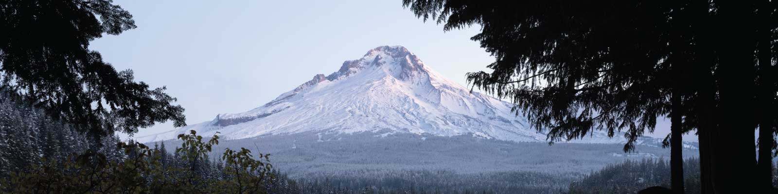 Header image of Mt. Hood