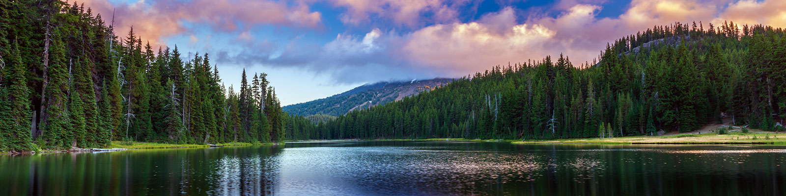 Forest, river and mountains