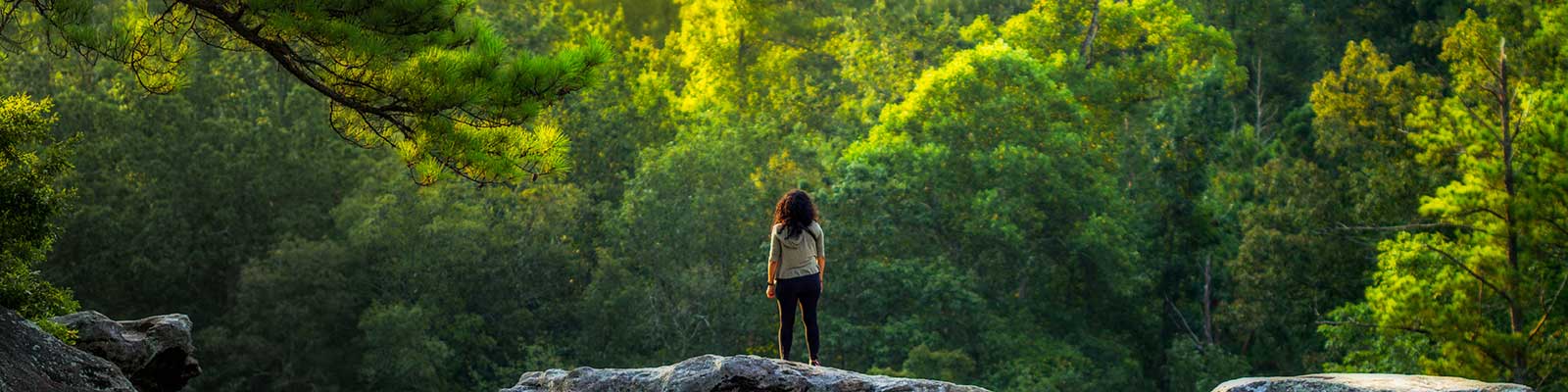 woman looking at the forest